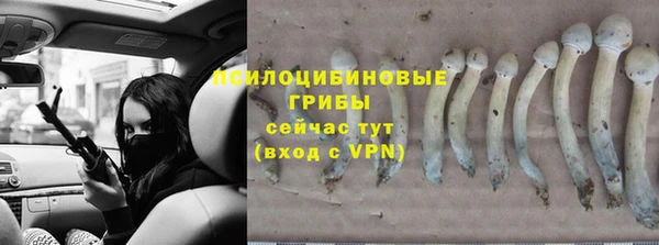 MESCALINE Абаза