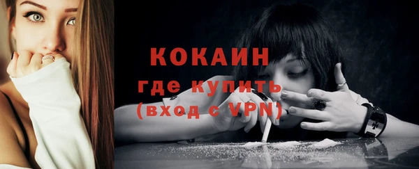 прущие грибы Абинск