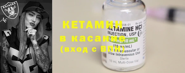 прущие грибы Абинск