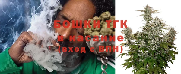 прущие грибы Абинск