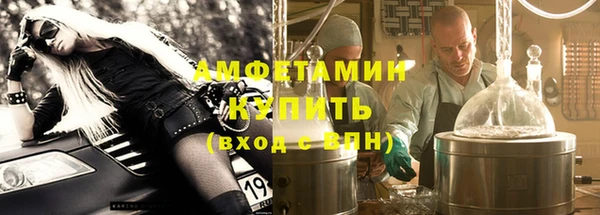 прущие грибы Абинск